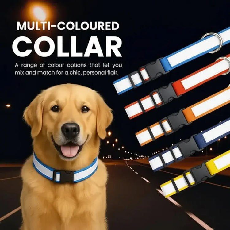 DesiTails® High-Visibility Reflective Dog Collars (Pack of 5) DesiTails®