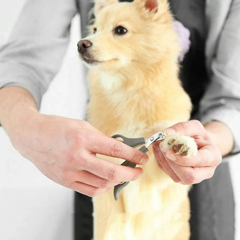 Safe & Easy Pet Nail Clippers – Scissor Trimmer for Dogs & Cats