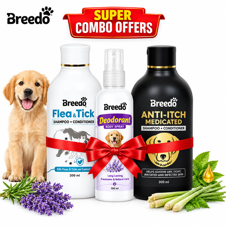 DesiTails® 3-in-1 Flea & Tick Care, Anti-Itch Shampoo & Deodorant Spray Kit (600ml)