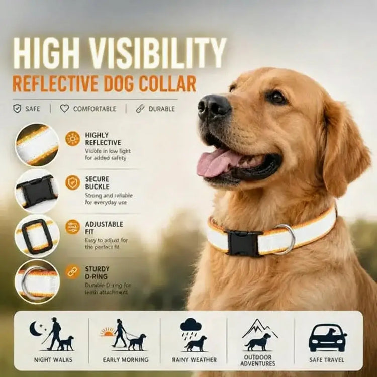 DesiTails® High-Visibility Reflective Dog Collars (Pack of 5) DesiTails®