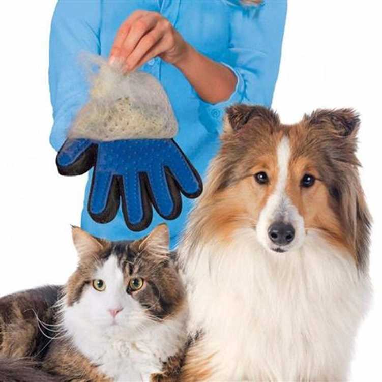 DesiTails® Pet Hair Remover Glove, Enhance Pet Grooming Glove, D-shedding Glove for Dog and Cat (Blue-Black, Standard)