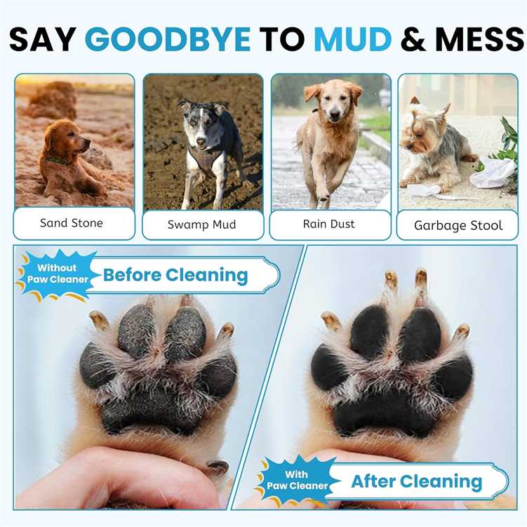 🐾 DesiTails® Pet Paw Cleaner — Portable Dog Paw Washer Cup with Soft Silicone Bristles