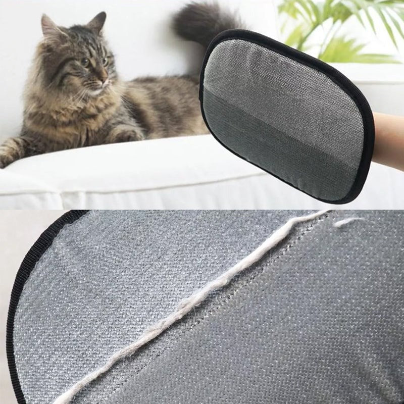 DesiTails® Pet Hair Removal Glove