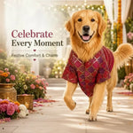 DesiTails® Festive Ethnic Sherwani for Dogs DesiTails®