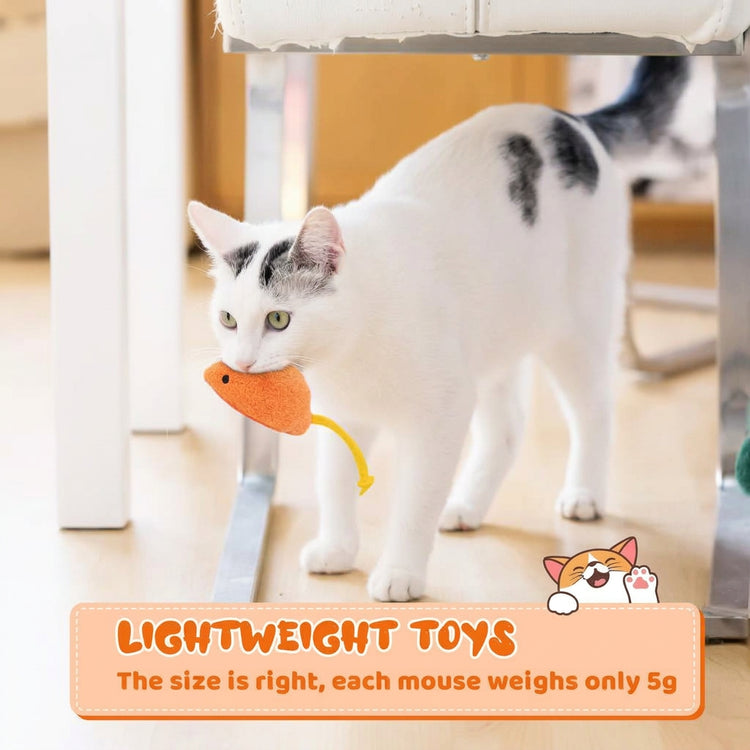 Cat Toy