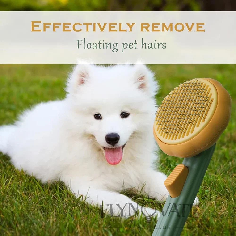 DesiTails® Pumpkin Pet Grooming & Massage Brush