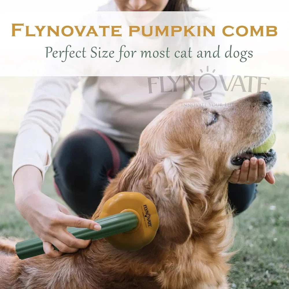 DesiTails® Pumpkin Pet Grooming & Massage Brush