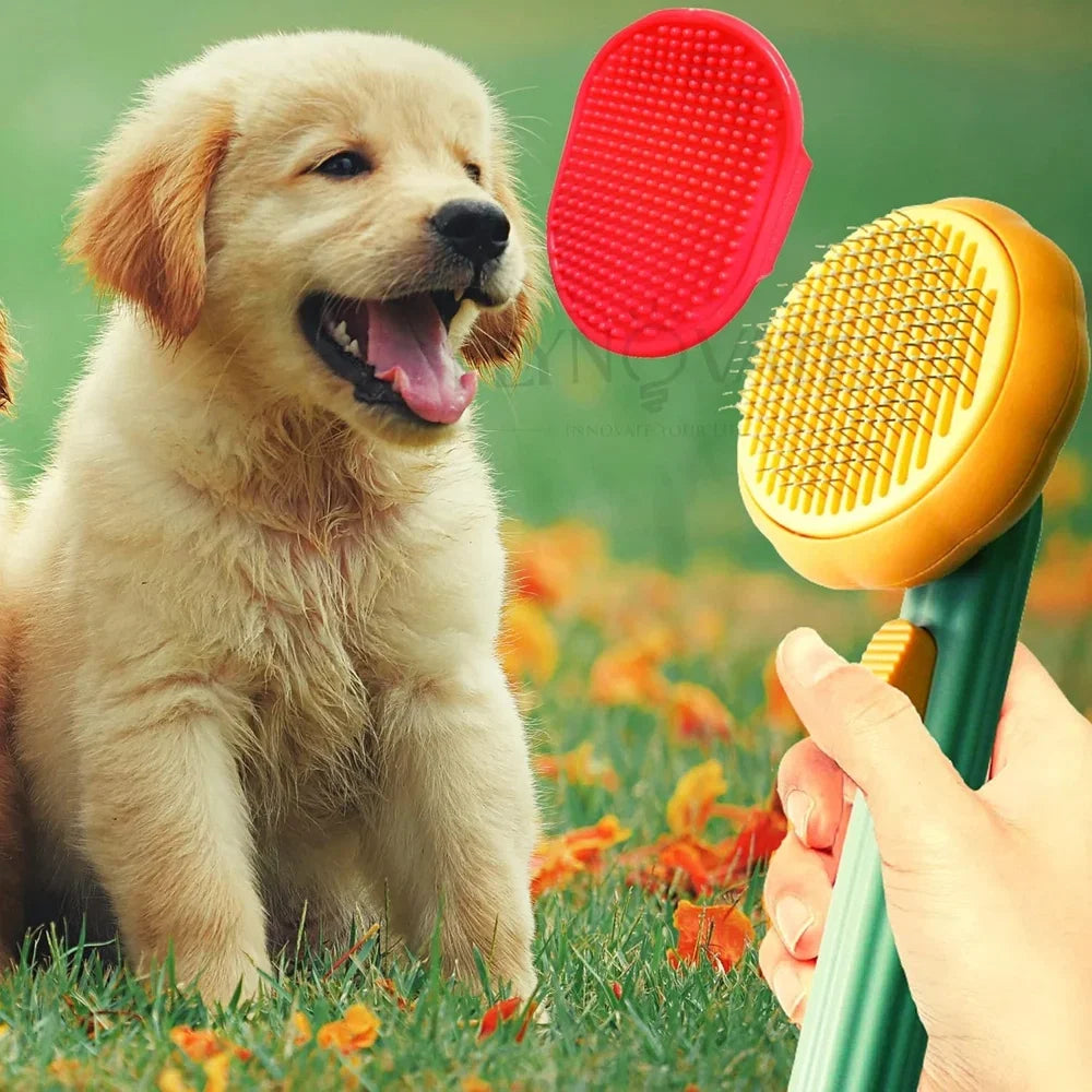 DesiTails® Pumpkin Pet Grooming & Massage Brush