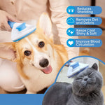 K-TOO Dog Hair Brush in Blue