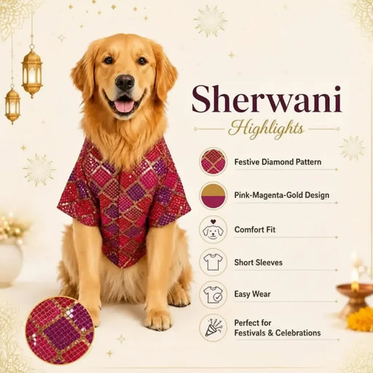 DesiTails® Festive Ethnic Sherwani for Dogs DesiTails®