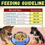 RV DOG BISCUIT PACK OF || 400GM COLOUR || MIXED FLOVOUR FOR ALL LIFE STAGES DOGS
