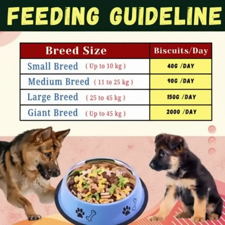 RV DOG BISCUIT PACK OF || 400GM COLOUR || MIXED FLOVOUR FOR ALL LIFE STAGES DOGS