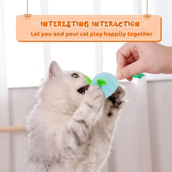 Cat Toy